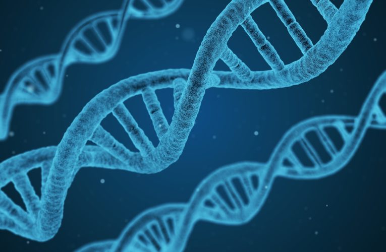 Pary starterów RNA koronawirusa używane w testach PCR są identyczne z ludzkim DNA