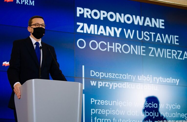 Premier o zmianach w ustawie o ochronie zwierząt: Tak kształtujemy warunki hodowli, by wspierać rozwój polskiego rolnictwa