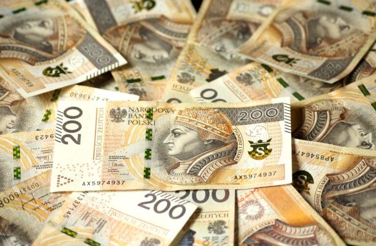 Ostrów Wielkopolski: Policjanci odzyskali pieniądze oszukanej kobiety