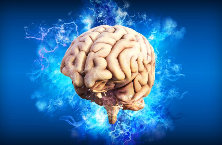30 ciekawych faktów na temat mózgu