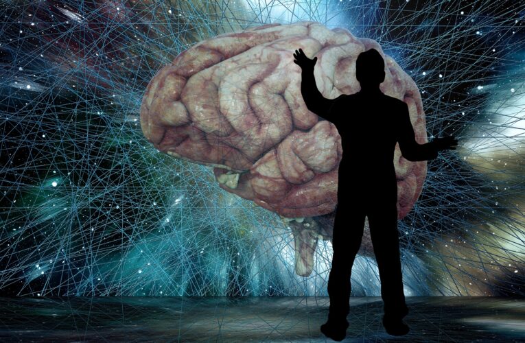 30 ciekawych faktów na temat mózgu