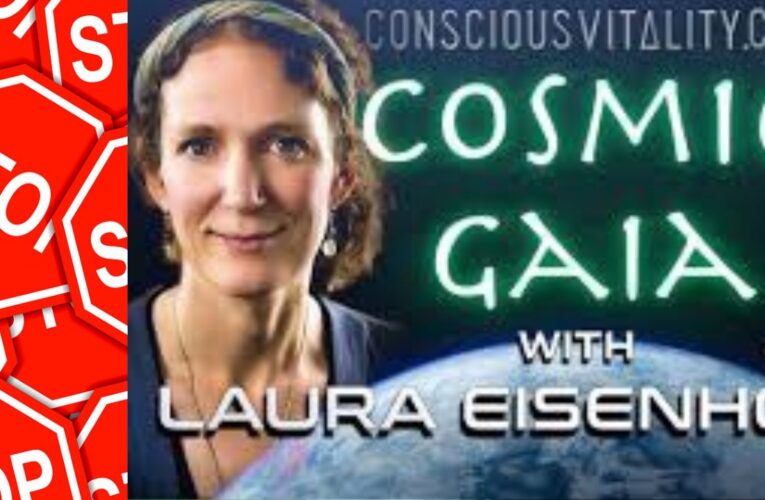Laura Eisenhower – MÓJ DZIADEK MIAŁ KONTAKT Z RÓŻNYMI ISTOTAMI POZAZIEMSKIMI – naturalne prawo kosmiczne