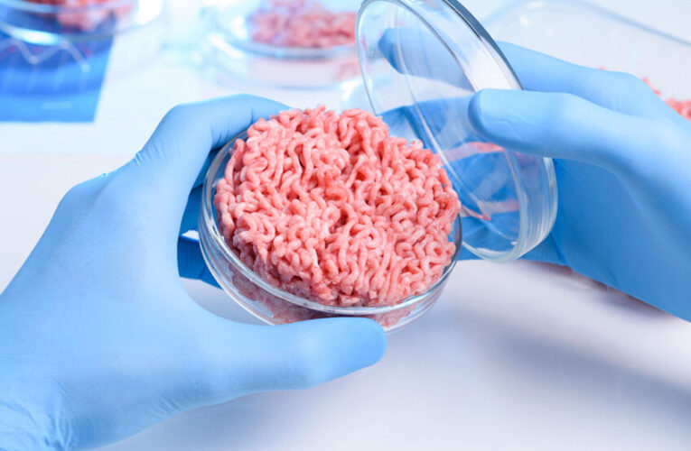 Krwawy sekret: Krew nienarodzonych krów używana do produkcji mięsa hodowanego w laboratorium