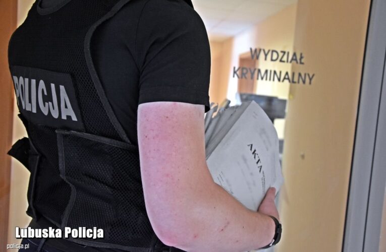 Oszust internetowy z zarzutami. Mężczyzna, za część przestępstw, odbywa już karę więzienia