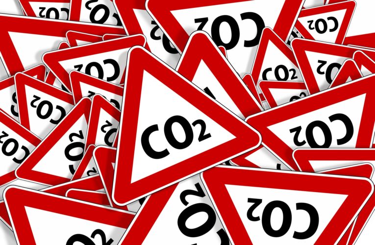 Dwutlenek węgla to życie, a nie zanieczyszczenie