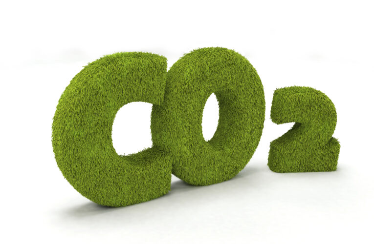 Wyższy poziom CO2 sprawia, że ​​rośliny spożywcze i zioła są bardziej pożywne i lecznicze