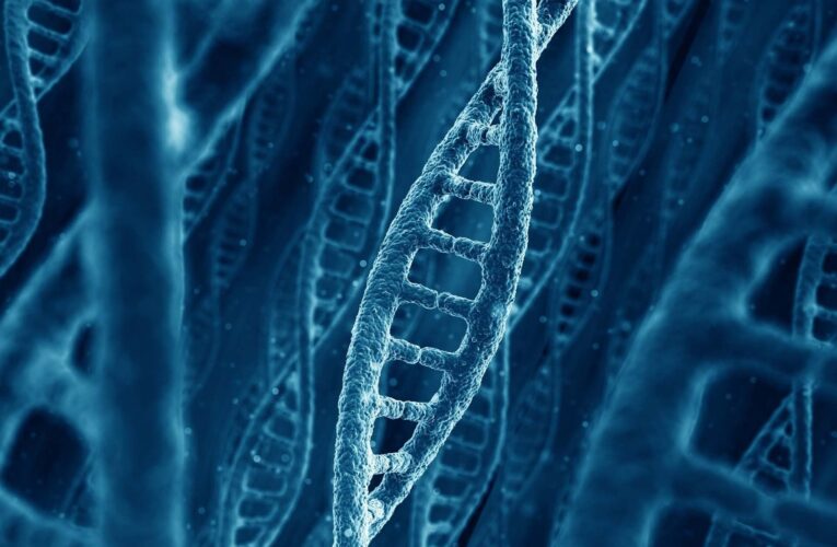 Sekrety DNA – Dan Winter – Odcinek 1 / 12